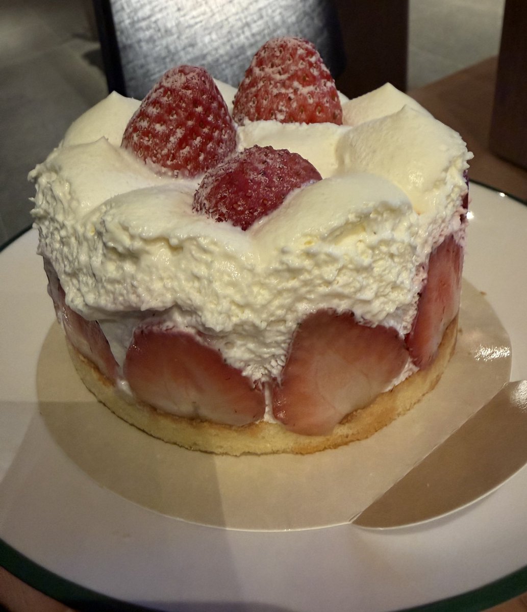 캣츠파파 tweet media