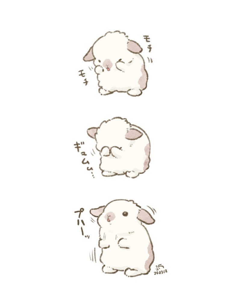 大賀一五🐰 tweet media