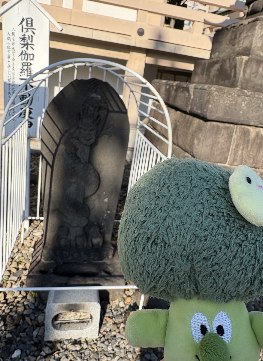 Jungle Bell Theater(ジャングルベル シアター) tweet media