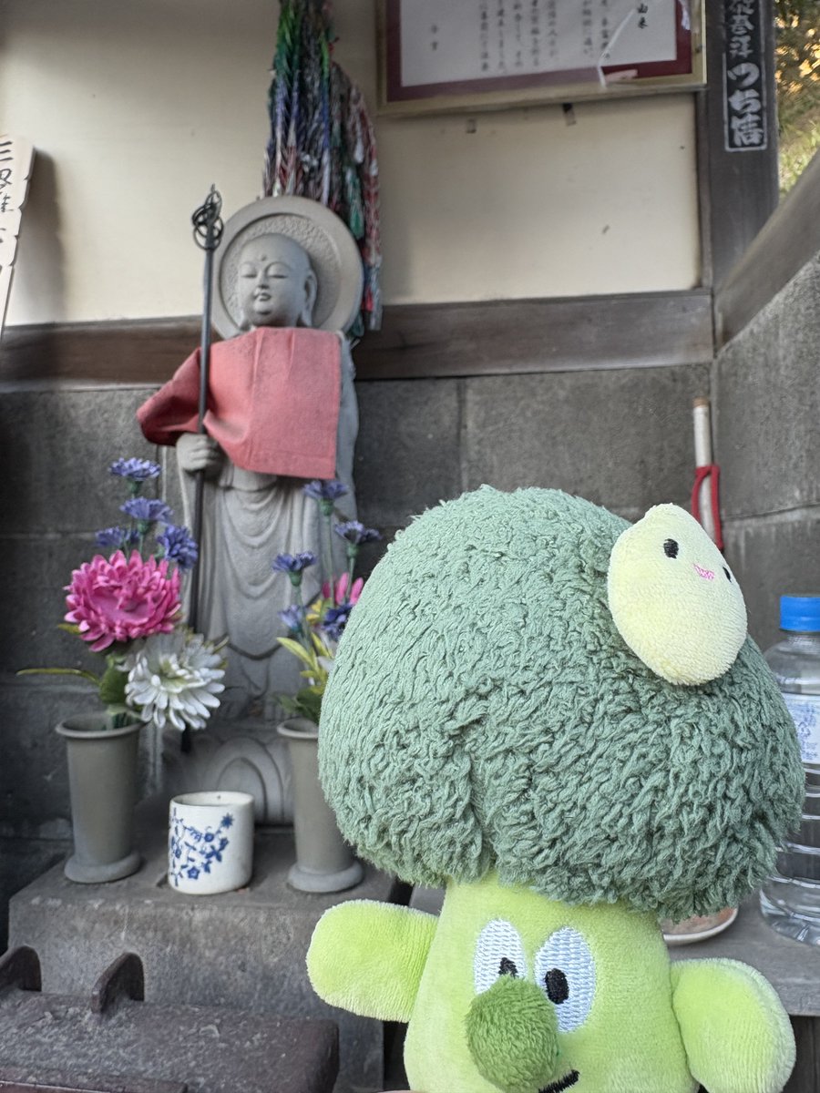 Jungle Bell Theater(ジャングルベル シアター) tweet media