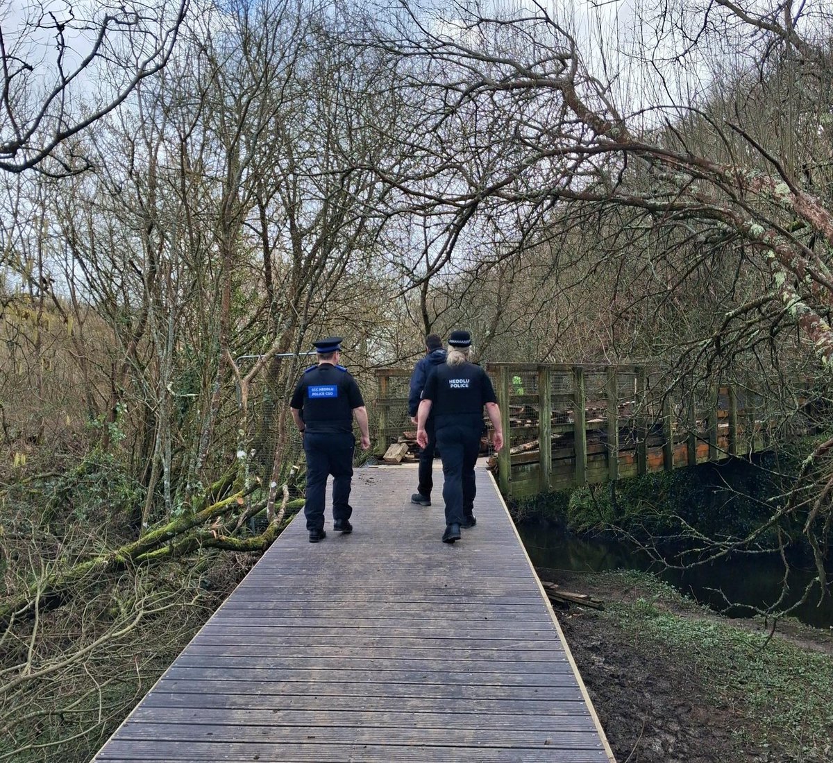 Cyngor Sir Ynys Môn tweet media