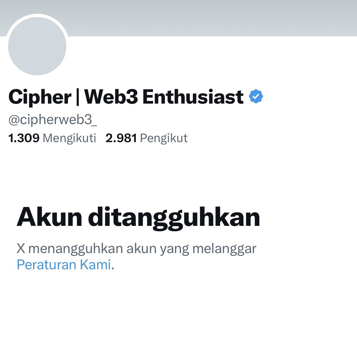 adinero.sol tweet media