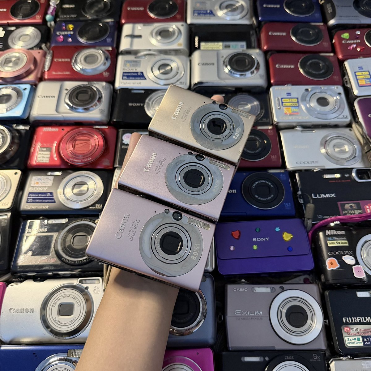 sangsu digicam 📷 tweet media