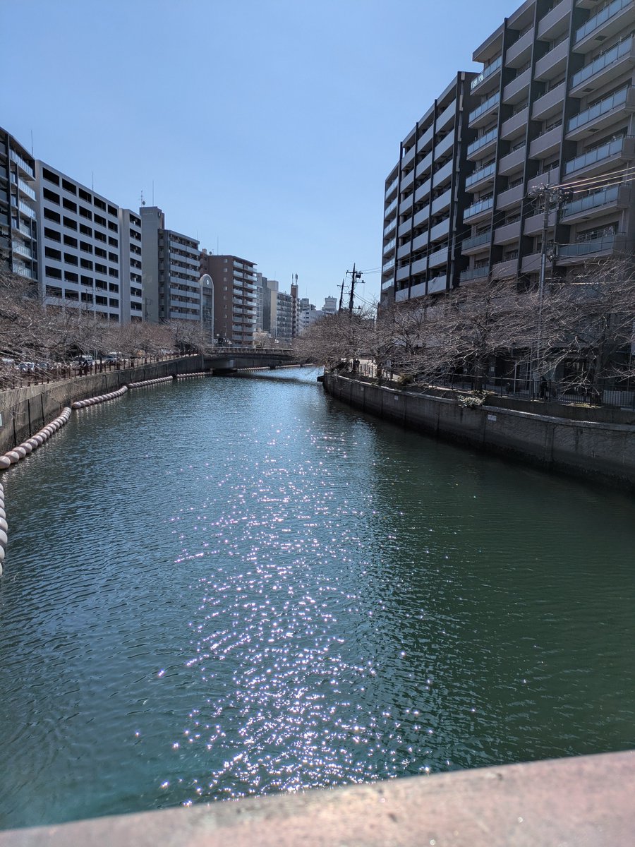 萩原健之 tweet media