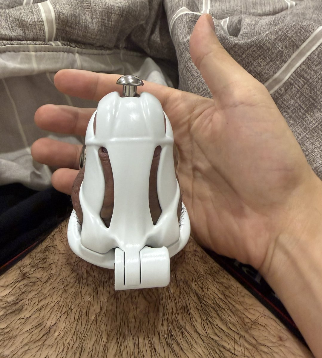 LockDoggy1997's tweet photo. 2026-3-12
鎖屌任務［06/35］

將精力發洩在健身上
成為主人的肌肉反差鎖狗

今日健身：背部+二三頭
今日午餐：牛肉麵
今日晚餐：昆布烏龍麵

#生活控制 #lockin #slave #kind3D https://t.co/uluOYmbic9