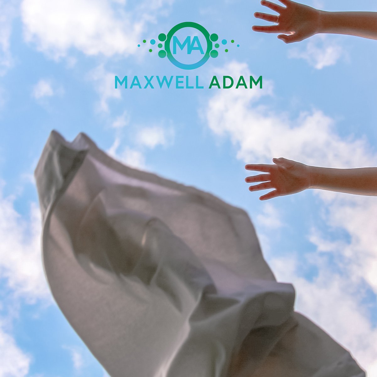 Maxwell Adam tweet media