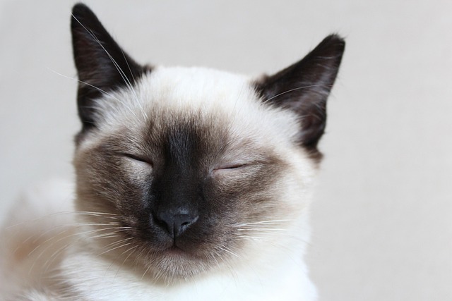 Lloyd Bornschein tweet media