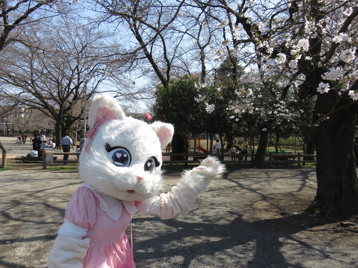 ミスティ日記♡ tweet media