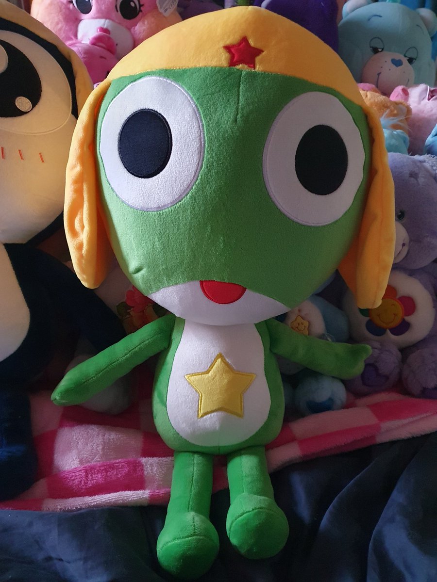 TamaTrips 🔰 tweet media