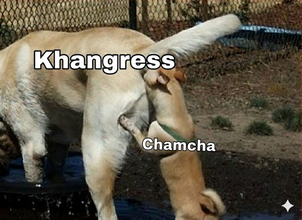 Radheshyam🇮🇳 🚩 tweet media