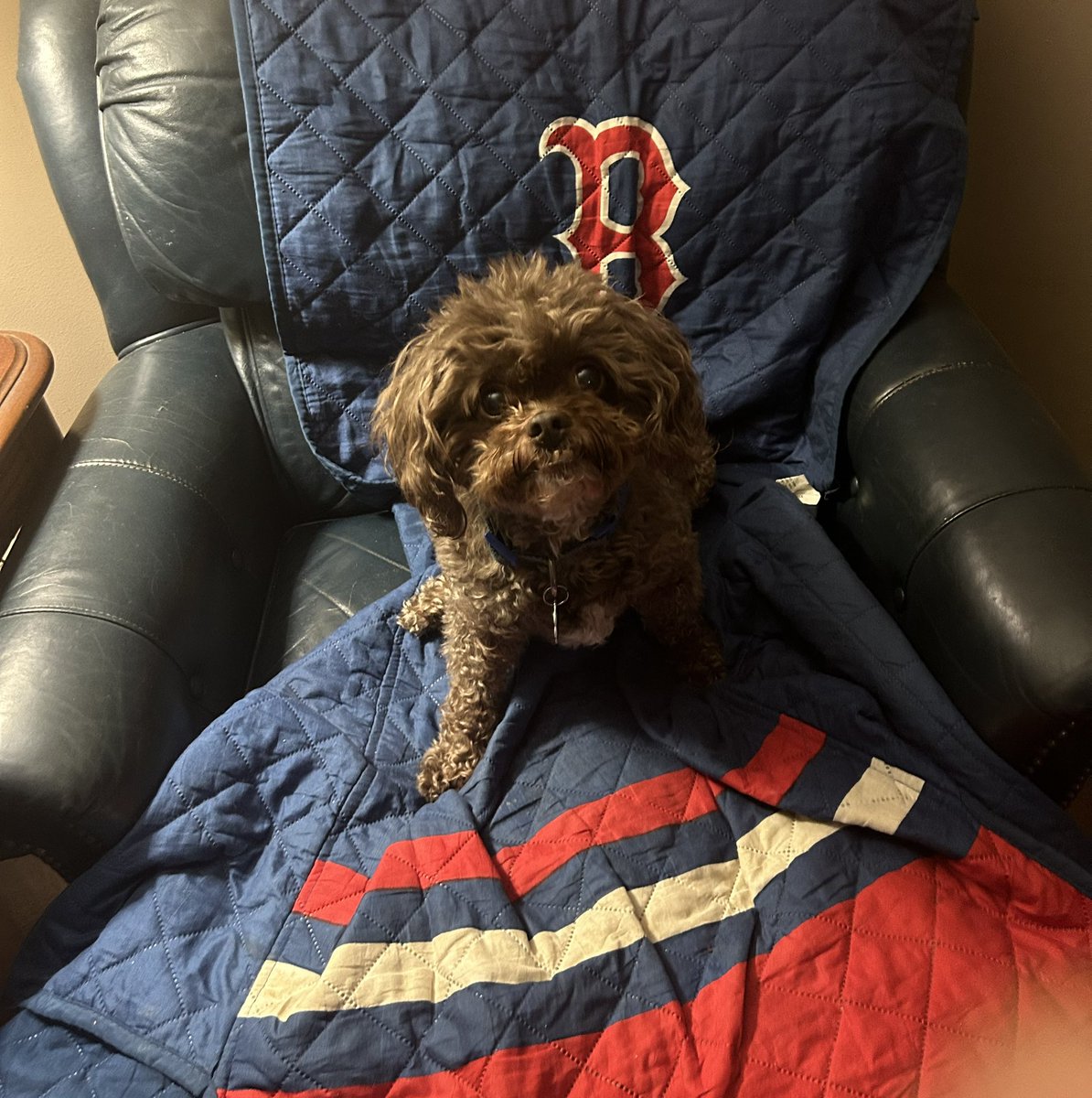 BrerTaylor tweet media