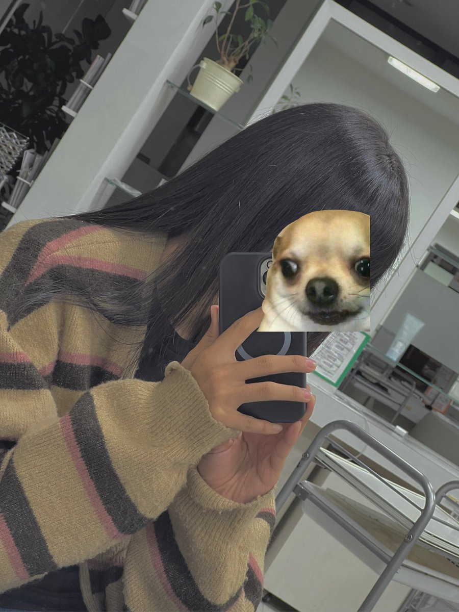 capmeeen's tweet photo. また髪の毛伸ばしたいナ https://t.co/T7qhfuyeUg