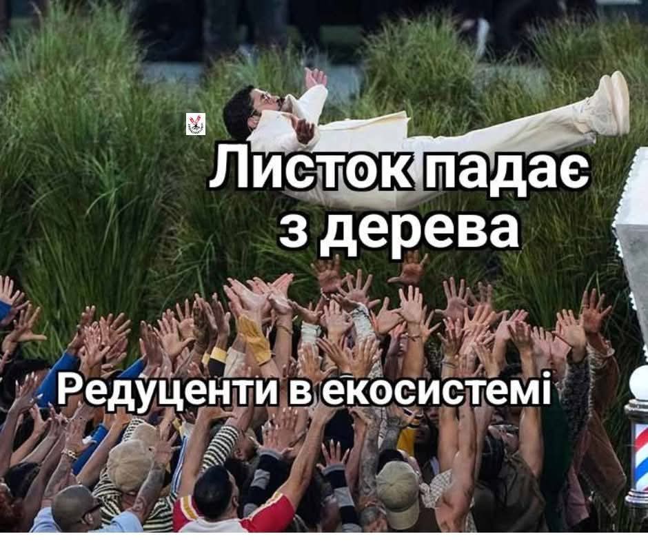 Dovkolabotanika vulgaris tweet media