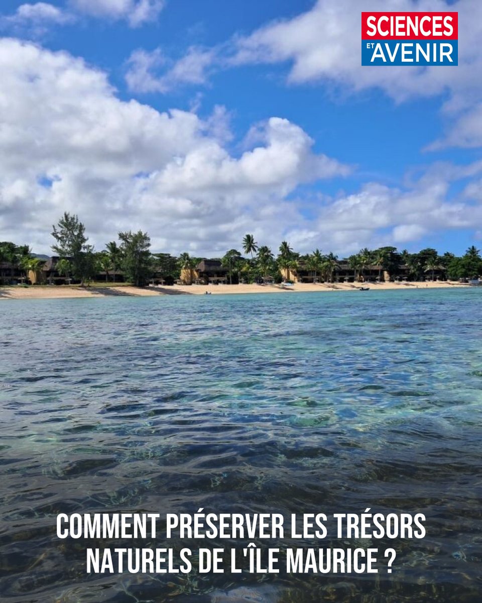 Coraux, herbiers marins, mangroves... Sur l’île Maurice, le tourisme détruit cette beauté de la nature qui pourtant le fait vivre 

(Bonne Fête nationale à nos lecteurs mauriciens ! 🇲🇺) 
👉 l.sciencesetavenir.fr/ZL5