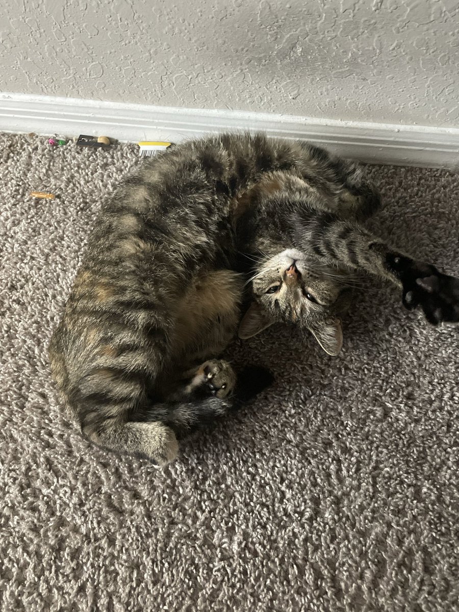 This is how I found her this morning….. she just lay i guess