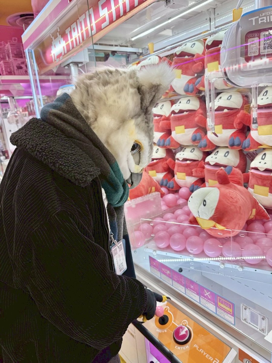 ふな/Funa➰🦉ケモエレ tweet media