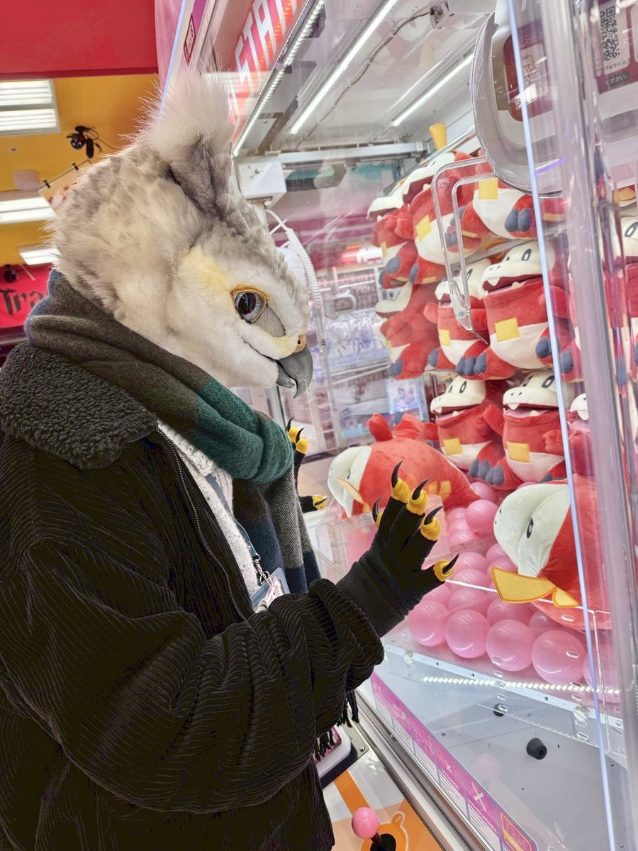 ふな/Funa➰🦉ケモエレ tweet media