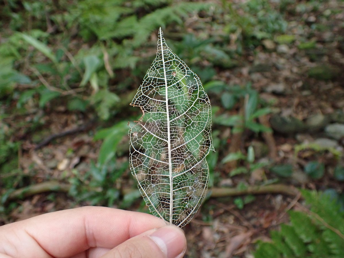 瀬尾一樹@新刊2冊発売!! tweet media