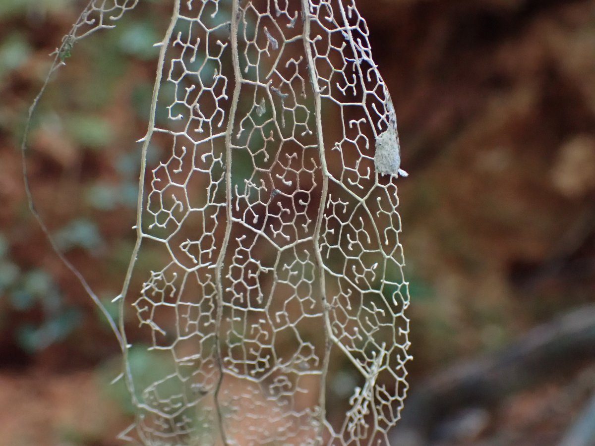 瀬尾一樹@新刊2冊発売!! tweet media