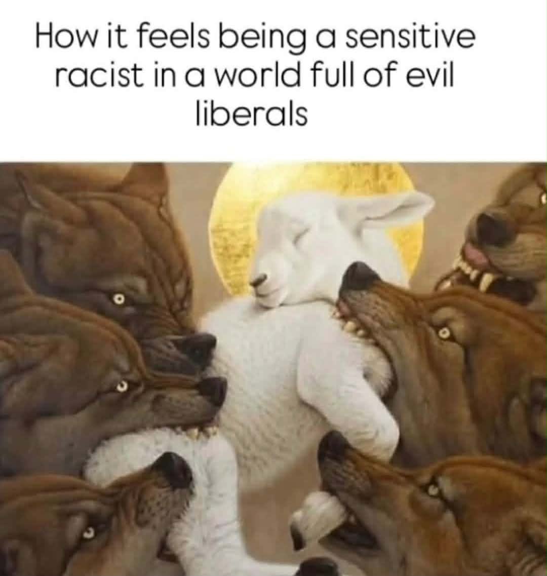 Mael 🇦🇹 🇩🇪 tweet media