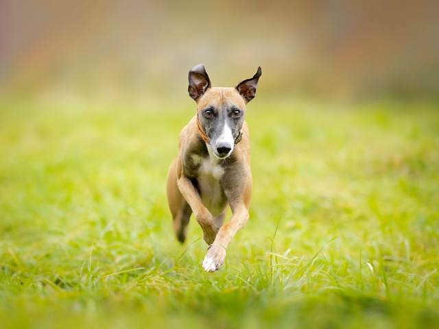 Heather Cruz tweet media