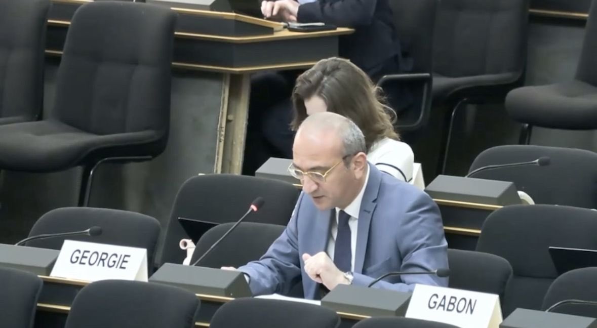 I once again reiterated 🇬🇪 ’s unwavering support for 🇺🇦 at HRC 61. We thank the IICI on Ukraine for documenting crimes &amp; violations, strongly condemn Russia’s war of aggression and attacks on civilians, with children among the most affected.