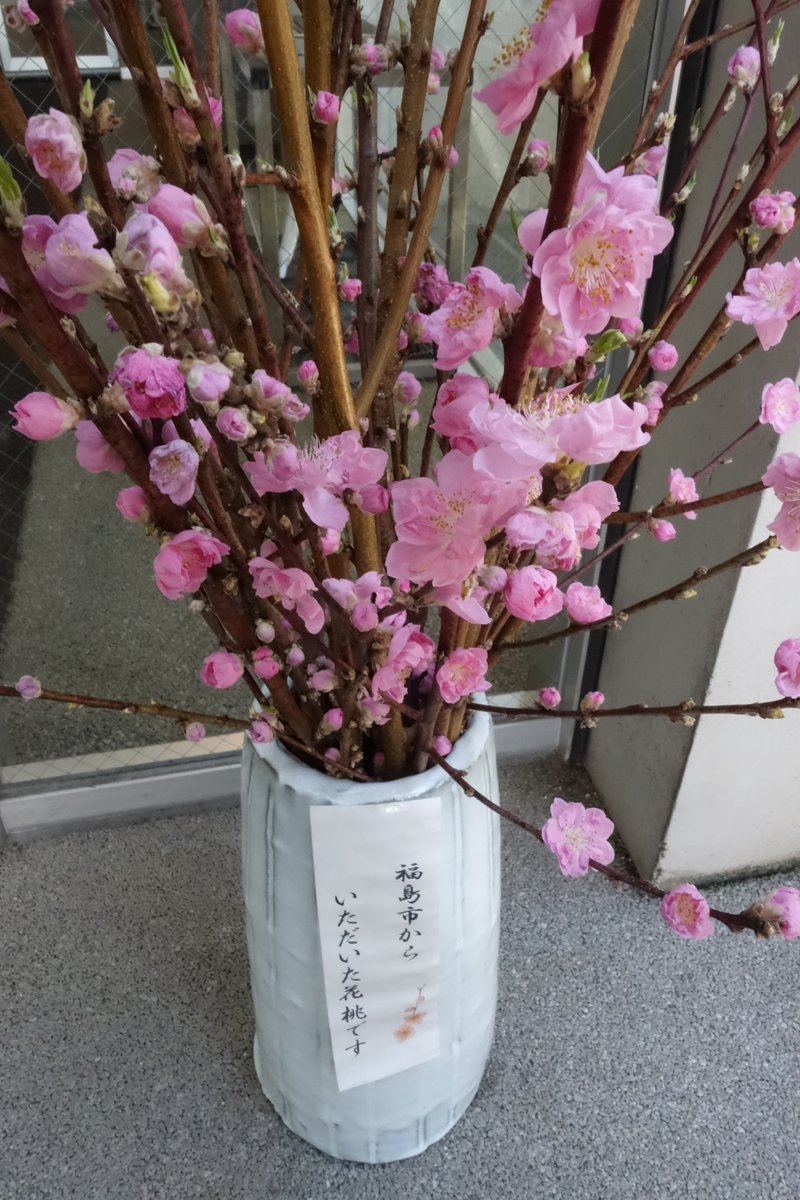 中原　豊 tweet media