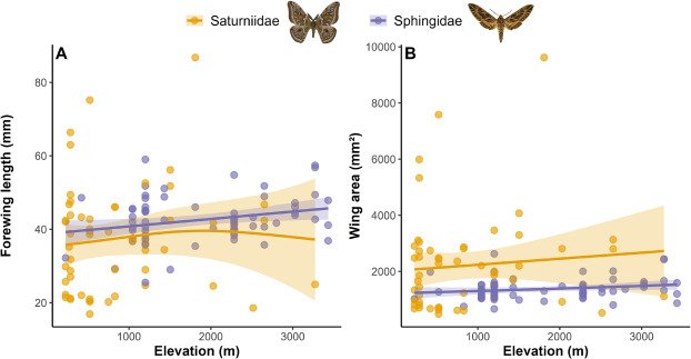 Yenny Correa-Carmona 🦋 tweet media