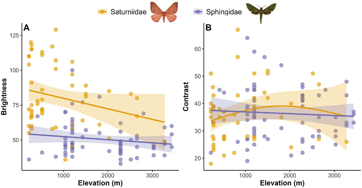 Yenny Correa-Carmona 🦋 tweet media