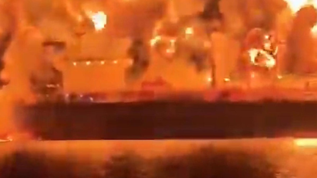 De Telegraaf tweet media