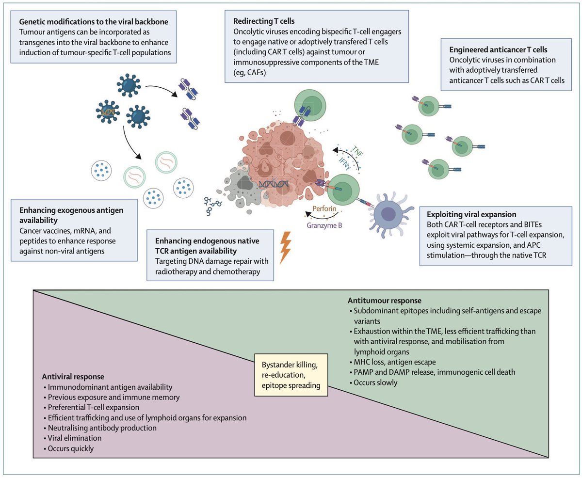 Mario Balsa tweet media