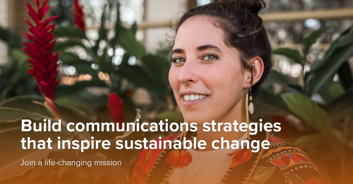 UNDP Careers tweet media