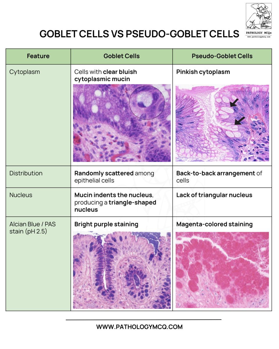 Pathology mcqs tweet media