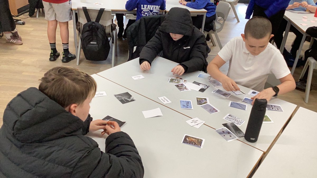 moorparkps's tweet image. P7 enjoyed some "Veterinary Care" stations after their #BritishScienceWeek2026 Live Lesson!

Analysing X-ray results, diagnosing illnesses, identifying treatments + matching footprints to the correct animal 🩺

#TeamMoorpark
