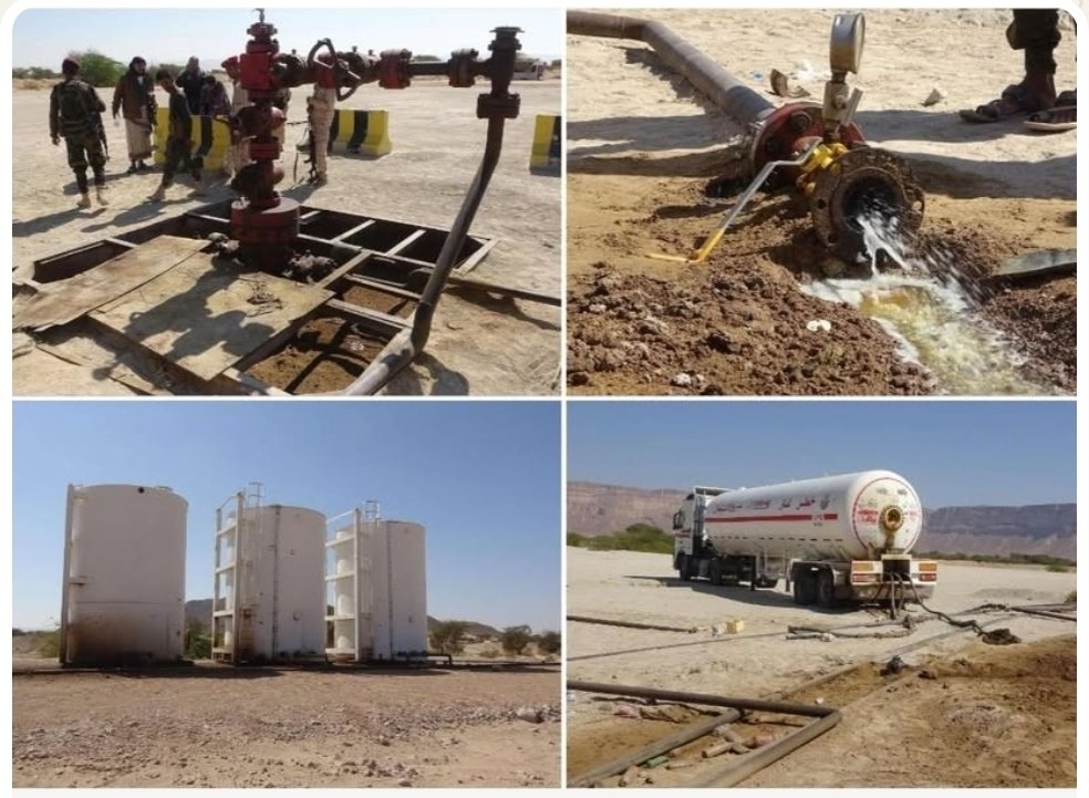 حضرمية كندية𓃴 tweet media