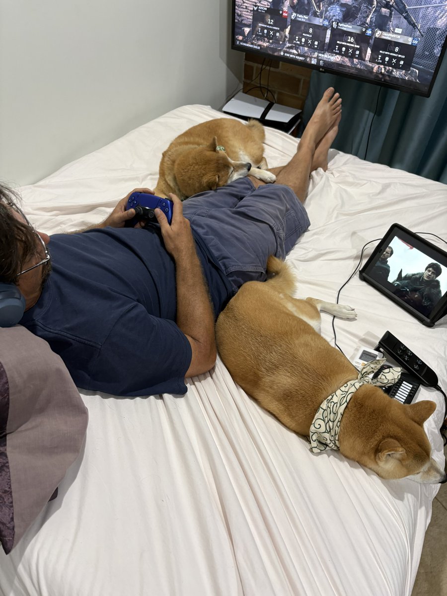 トラゴマ tweet media