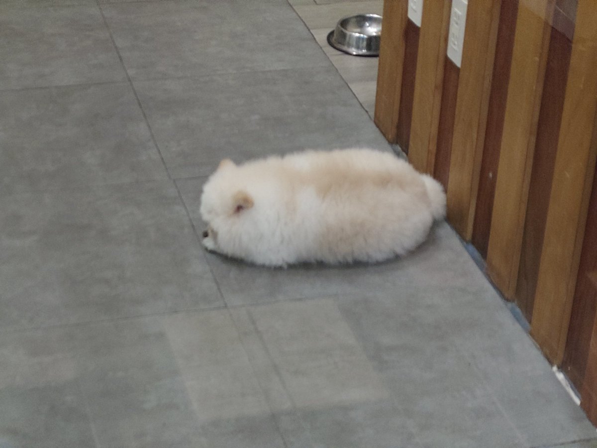 🦴