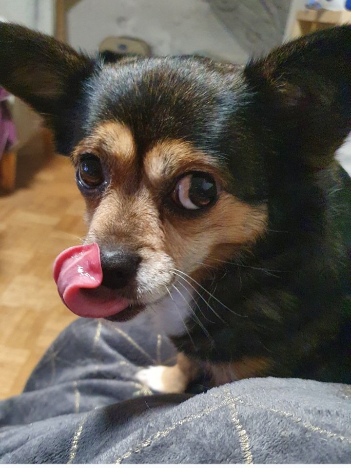 Minister Charlie +Assistentinnen tweet media