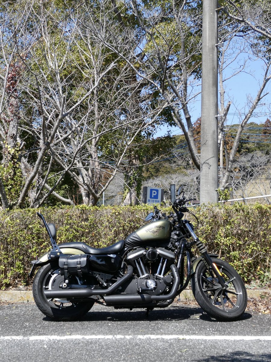 sorapiii___03's tweet photo. いつも一眼で写真撮ってたけど、ツーリングの時荷物減らしたいからデジカメ買ってみた！
流石に暗いところは一眼には敵わないけど、思ったよりいいかも…🤔
そして今日キョン初めてみた！！ https://t.co/GyFxzv9UhQ