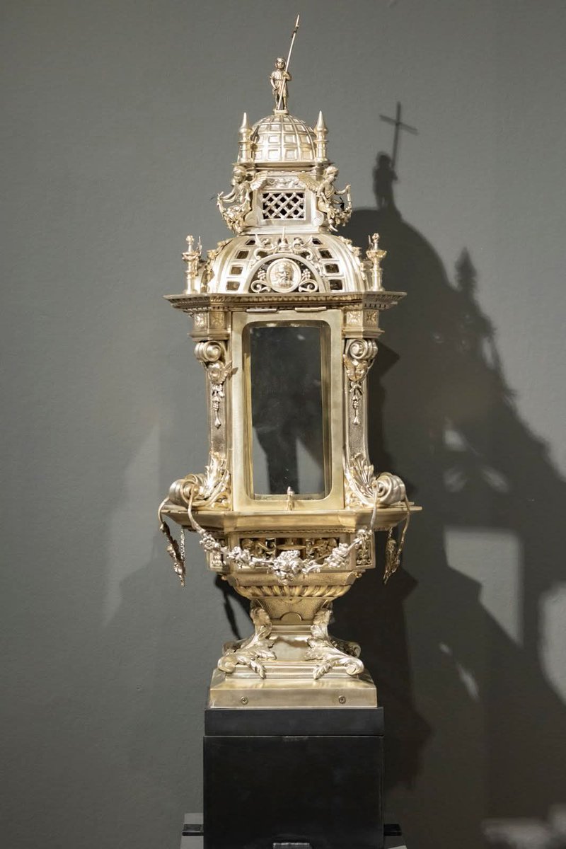 El vencejo de la torre tweet media