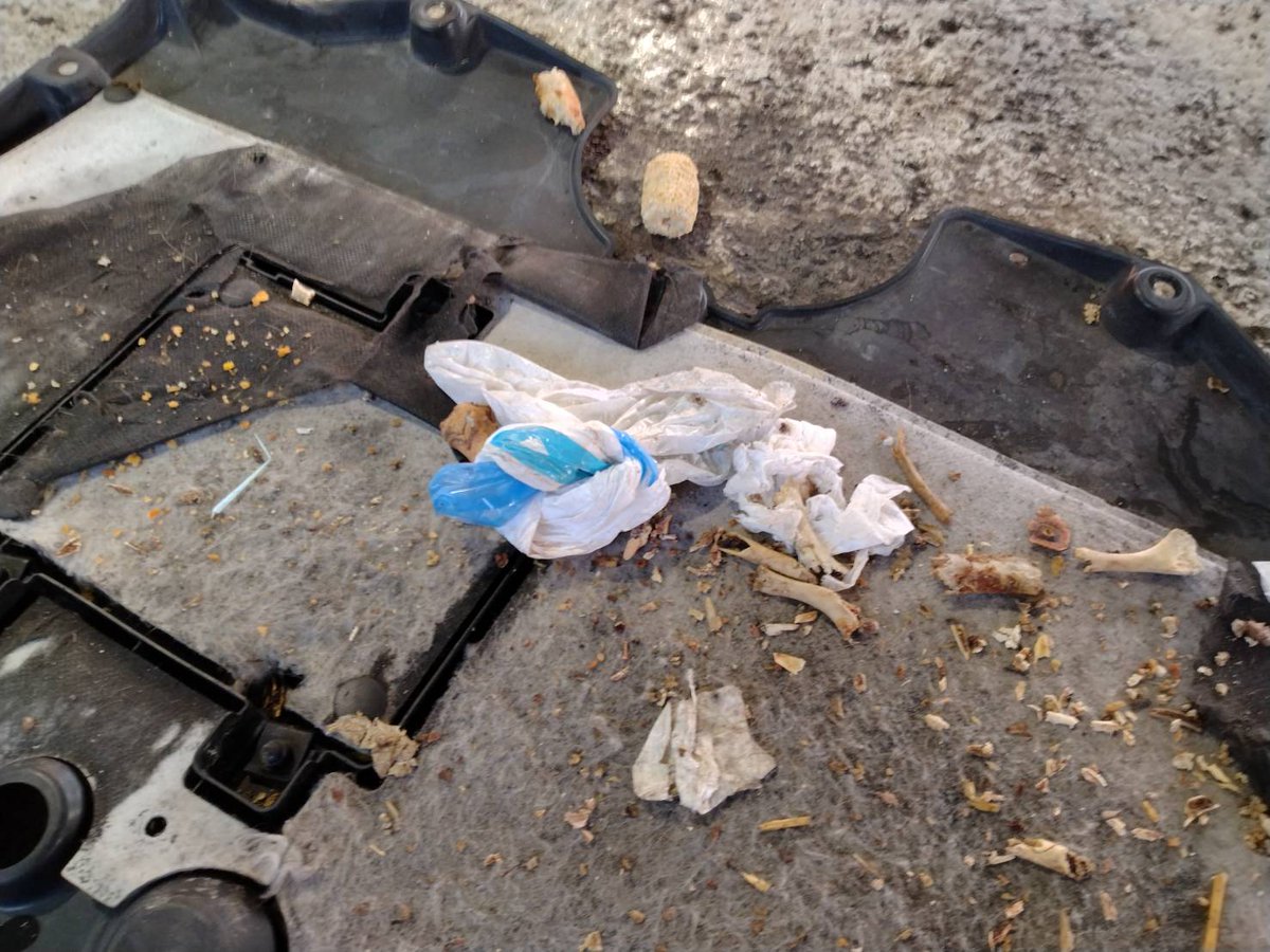 NORIさん tweet media