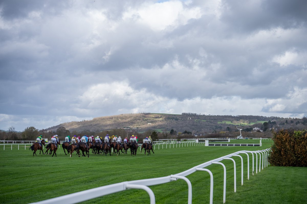 British Horseracing Authority tweet media