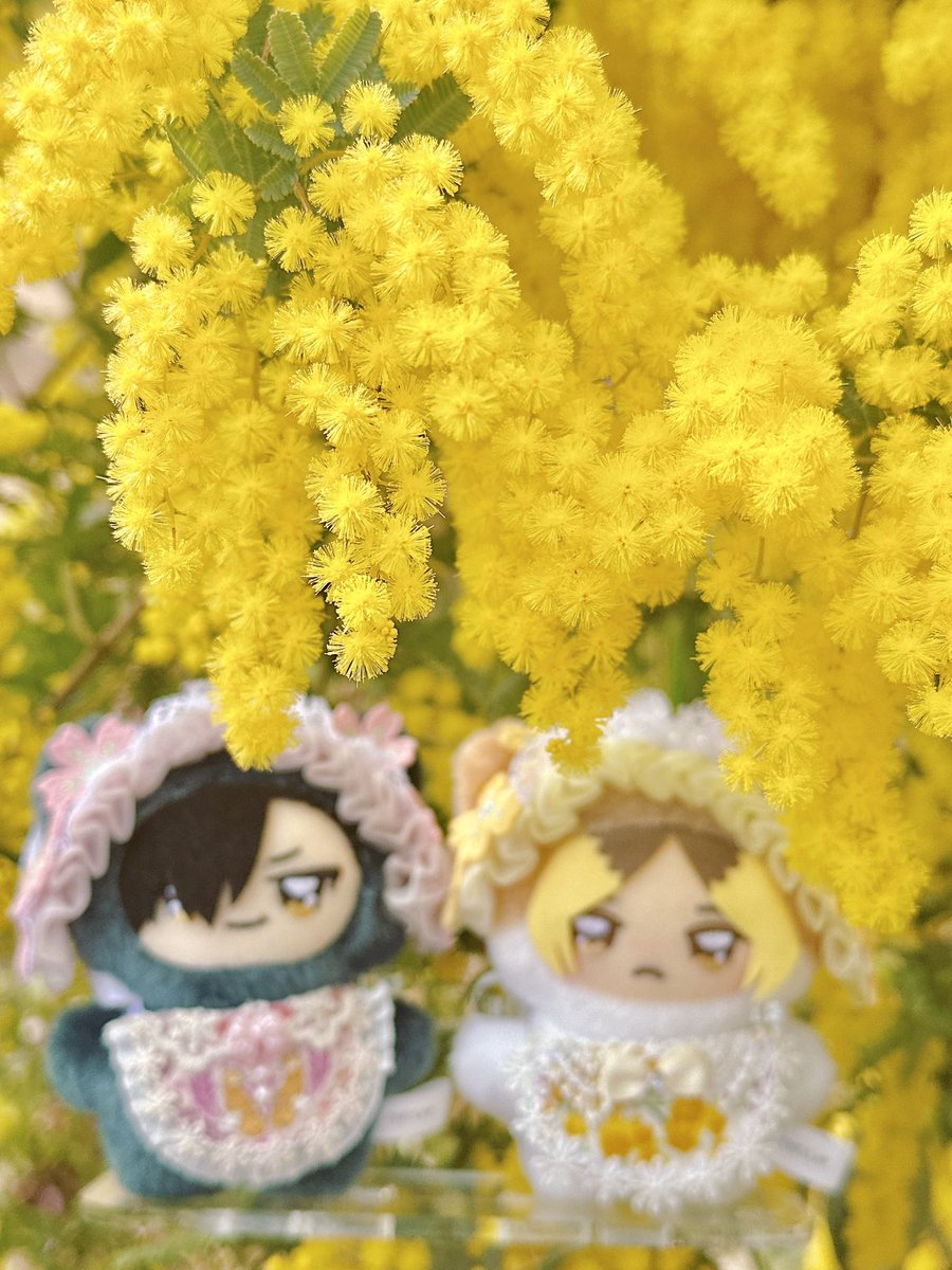 …美味しい。@ｵﾙﾆｷ tweet media