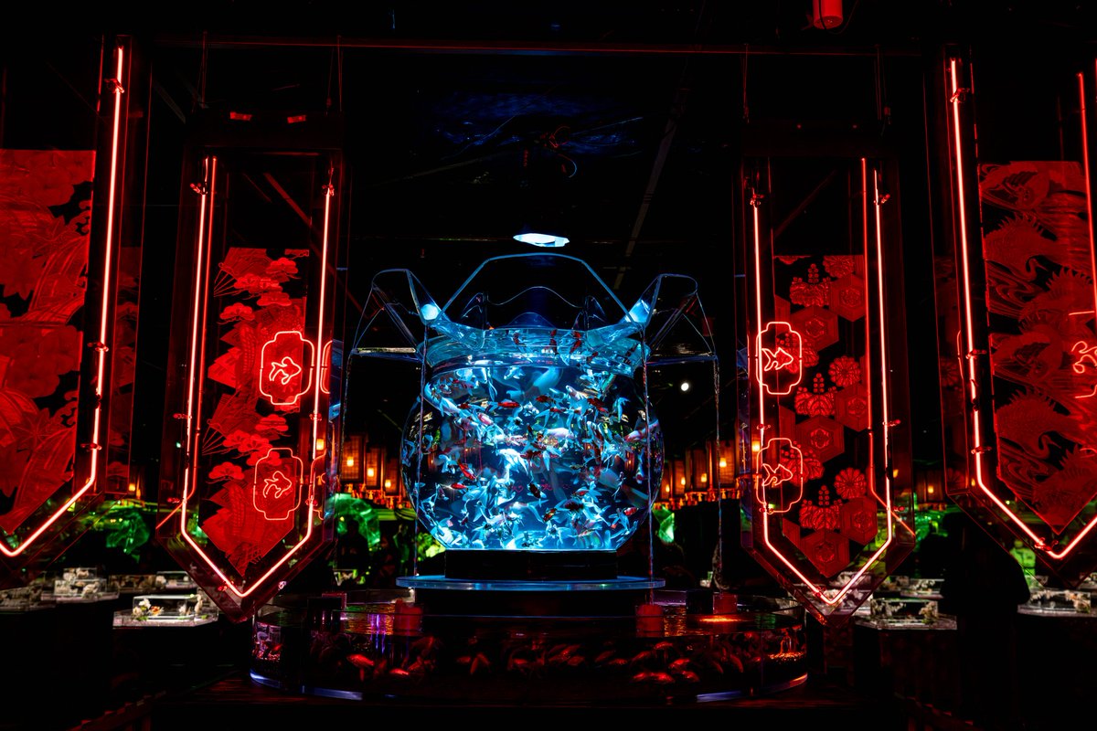 V4jF8o7jFLyB8vf's tweet photo. 銀座三越のアートアクアリウム美術館にて撮影させて頂きました!

幻想的な世界で本当に素敵でした☺

#撮影
#銀座
#artaquarium_museum_official
#アートアクアリウム
#Tokyo
#GalaxyS26ultra https://t.co/WAJkzNHwyB
