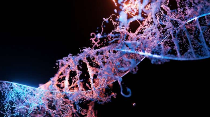 Metakognita tweet media