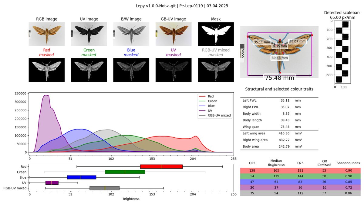 Yenny Correa-Carmona 🦋 tweet media
