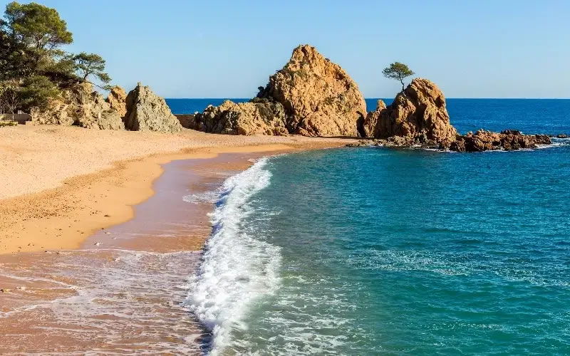 CompetitionsToday tweet media