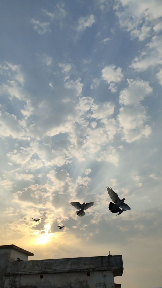 The InnerLens Creativity Studio tweet media