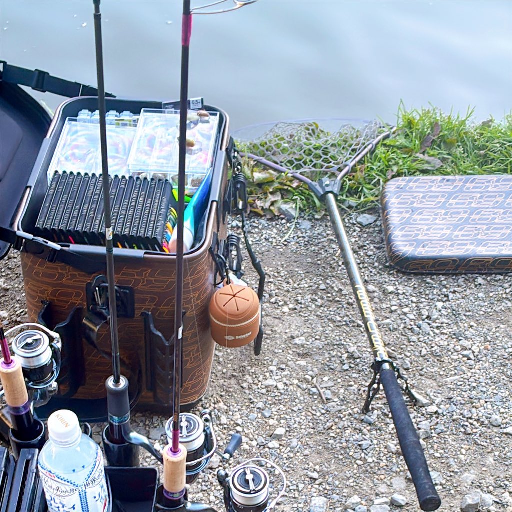 たかいち🎣 tweet media