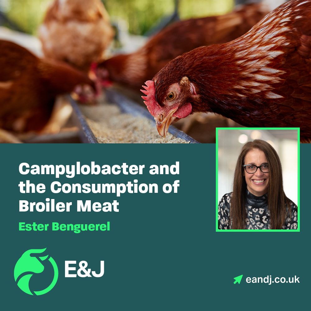 Campylobacter is one of the most common causes of foodborne illness worldwide. 

Our Food Safety and Animal Welfare Lead, Ester Benguerel, shared her thoughts on how Official Veterinarians control Campylobacter within broiler meat production: eandj.co.uk/campylobacter-…